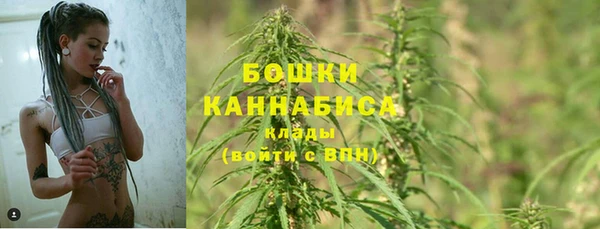 ПСИЛОЦИБИНОВЫЕ ГРИБЫ Костерёво