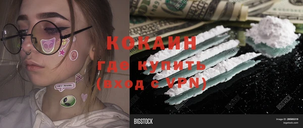 МДПВ Краснослободск