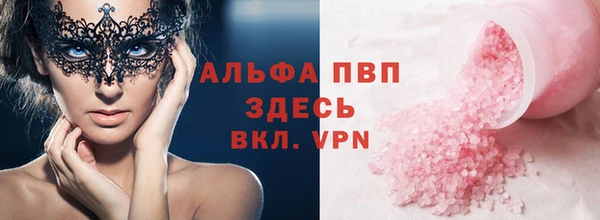 прущие грибы Коряжма