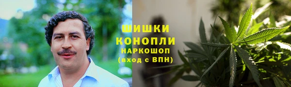 МДПВ Краснослободск