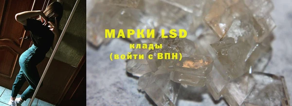 прущие грибы Коряжма