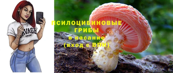прущие грибы Коряжма