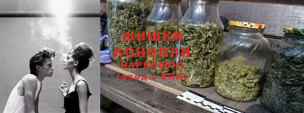 ПСИЛОЦИБИНОВЫЕ ГРИБЫ Костерёво
