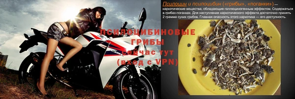 ПСИЛОЦИБИНОВЫЕ ГРИБЫ Костерёво