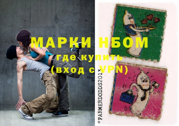 прущие грибы Коряжма
