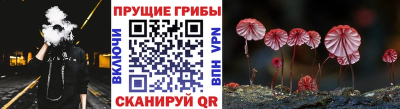 Галлюциногенные грибы Magic Shrooms  Купить  Любань 